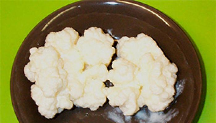 Тибетский молочный гриб для лечения микозов